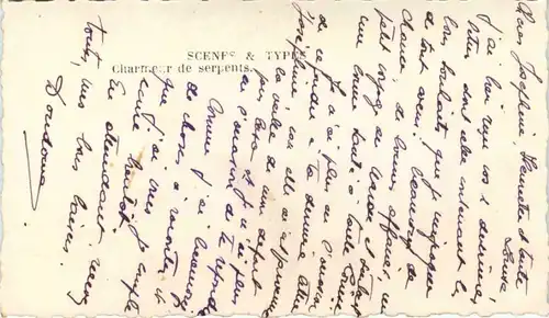 Maroc - Snake -447142