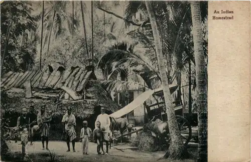 India - Indian Homestead -446228