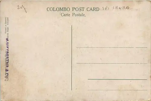 Colombo - Landing Chetty -446016