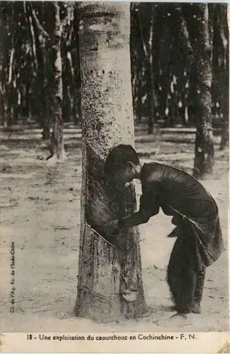 Une exloittion de caoutchouc en Cochinchine -446402