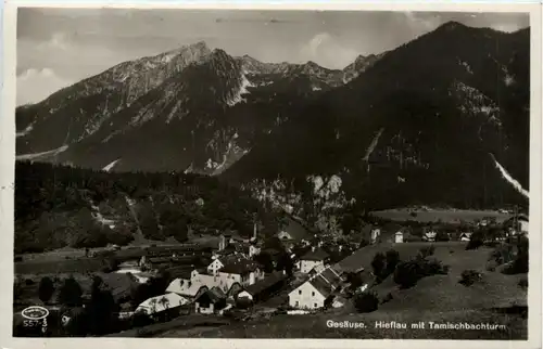 Gesäuse, Hieflau mit Tamischbachturm -353440