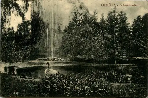 Olmütz - Schwanenteich -447654