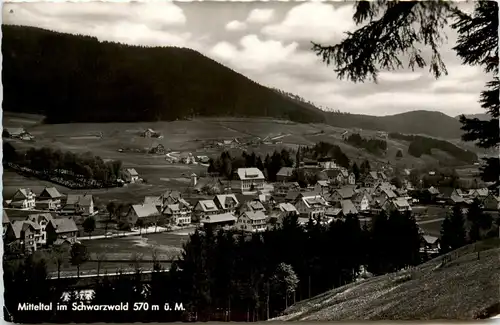 Mitteltal im Schwarzwald -448206