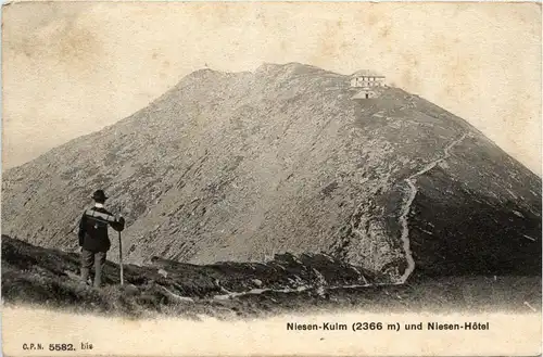 Niesen-Kulm -447522