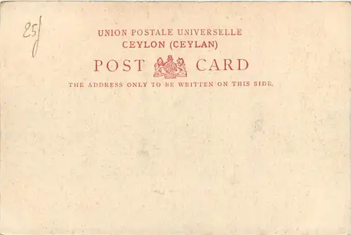 Ceylon - Mount LaviniaZebu -446320