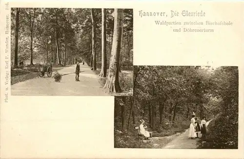 Hannover - Die Eilenriede -448394