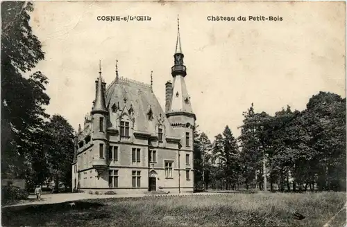 Cosne-s/L-Oeil, Chateau du Petit-Bois -364246