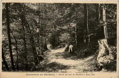 Excursion au Herisson, Bords du Lac de Bonlieu - Sous bois -364184