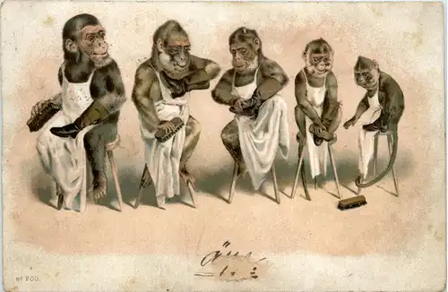 Affen beim Schuhe putzen -424052