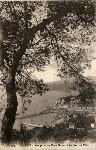 Nice, Vue prise du Mont Boron a travers les Pins -366522