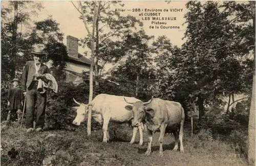 Environs de Vichy, et Cusset Les Malavaux, Plateau de la Couronne -364700
