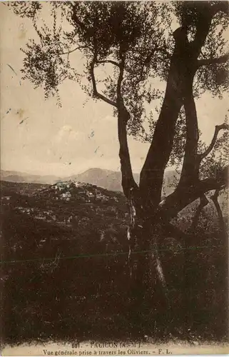 Falicon, Vue generale prise a travers les oliviers -367382