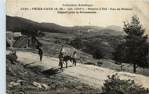 Peira-Cava, La Station dète - Vue du Plateau - Depast pour la Promenade -366596