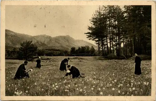 Thorenc, Sanatorium du Clerge de France, -366820