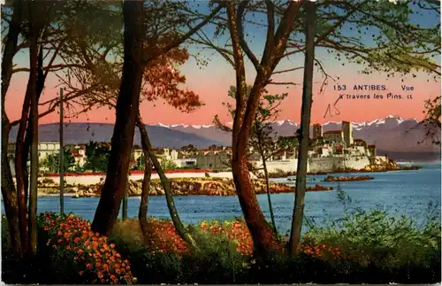 Antibes, Vue a travers les Pins -367276