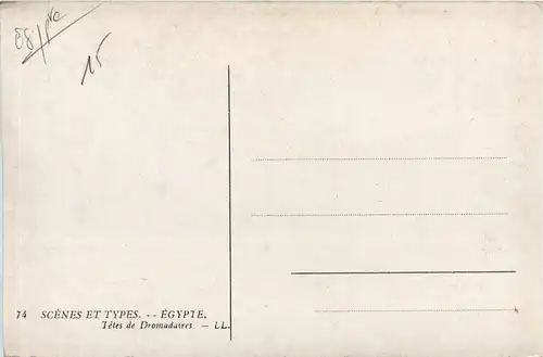 Egypt - Heads of Fromedaries -448916