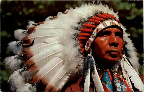 Indian Chief -449312