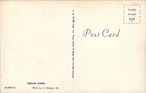 Indian Chief -449312