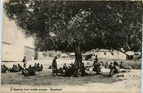 Mombasa - Resting Tree -449262