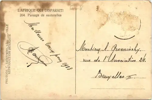 Congo - Passage de sauterelles -449382