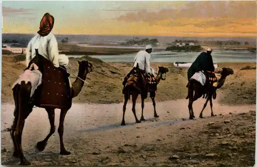 Egypt - En route for the fields -448890