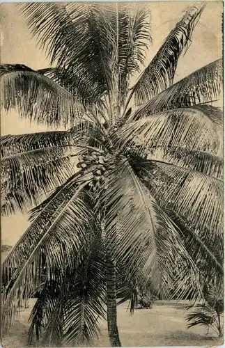 Congo - Moanda en omstreken -448628