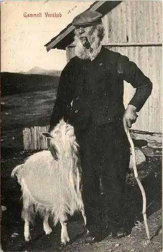 Gammelt Venskab - Goat Ziege - Norway -449330