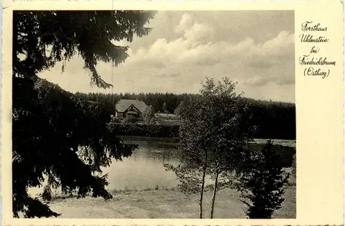 Forsthaus Uhlenstein bei Friedrichsbrunn Ostharz - Thale -428158