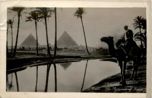 Cairo - Pyramids -449048
