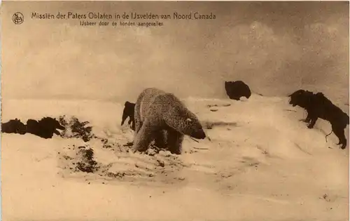 Missions Nord Canada Polarbear -450626