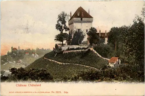 Chateau Chatelard -450510