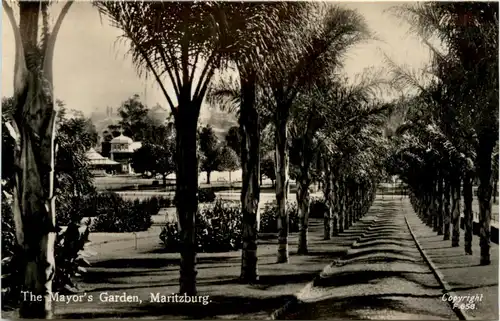 Maritzburg - Mayors Garden -450590