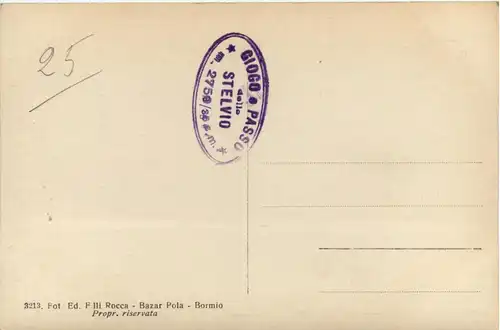 Stelvio - Pizzo Garibaldi -451790