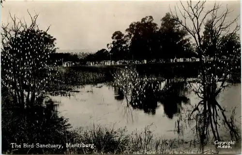 Maritzburg - Bird Sanctuary -450614