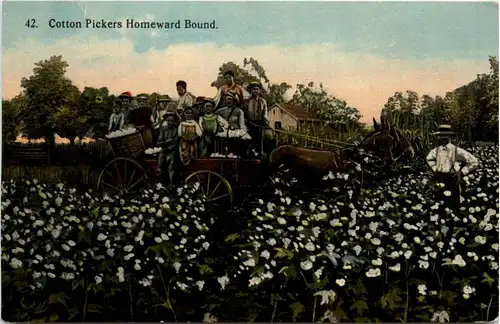 Cotton Pickers -450906