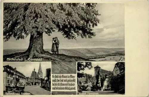 Michelstadt im Odenwald -451930