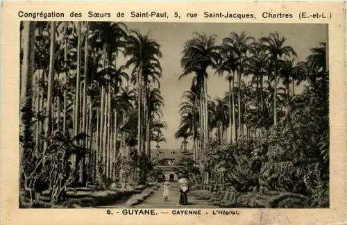 Guyane - Cayenne - L hopital -449724