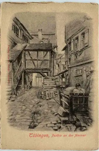 Tübingen, Partie an der Ammer -356812