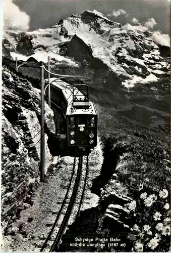 Schynige Platte Bahn -452772