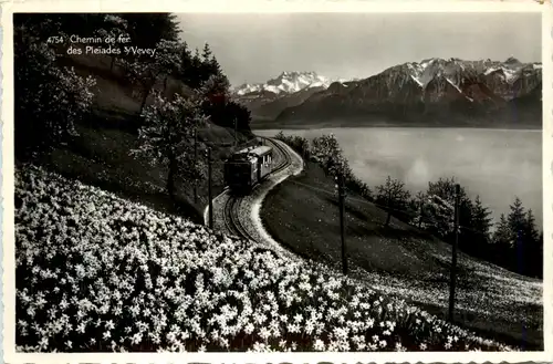 Chemin de fer des Pleiades sur Vevey -453070