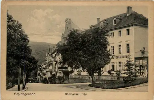 Schlangenbad - Rheingauuerstrasse -452228