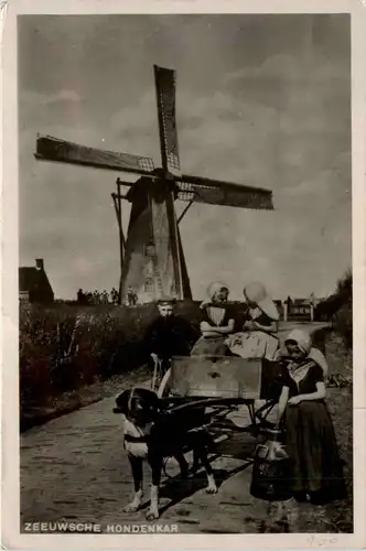 Zeeuwsche Hondenkar -450984