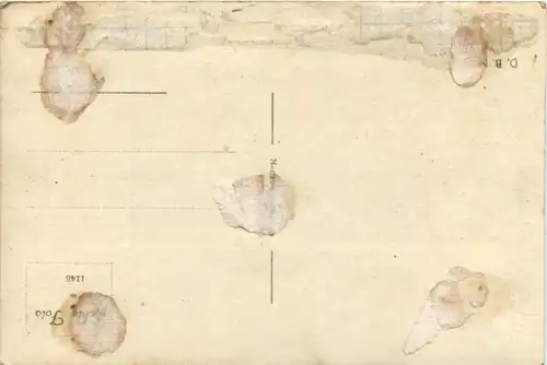 Zeeuwsche Hondenkar -450984