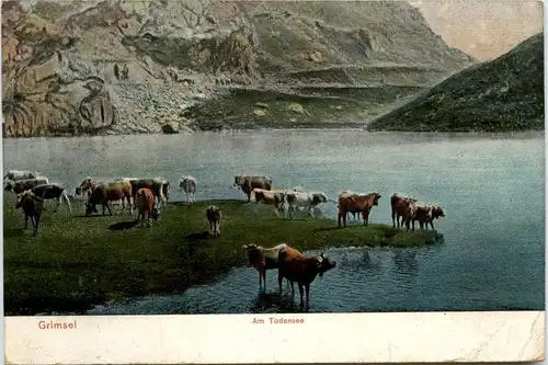 Grimsel - Am Todensee -452994