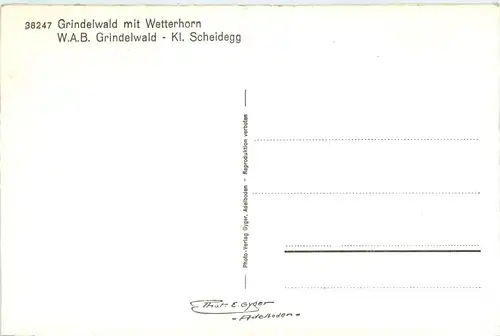 Grindelwald - WAB -452814