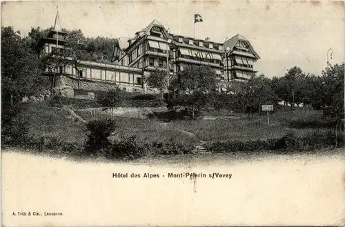 Mont-Pelerin sur Vevey -453032