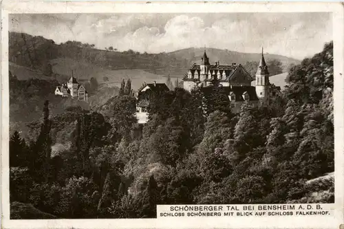 Schönberger Tal bei Bensheim - Schloss Schönberg -92870
