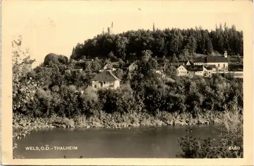 Wels - Thalheim -93018