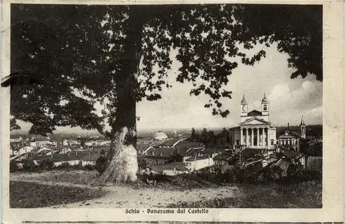 Schio - Panorama dal Castello -93356