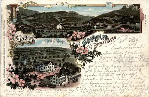 Gruss aus Seeheim an der Bergstrasse - Litho -91670